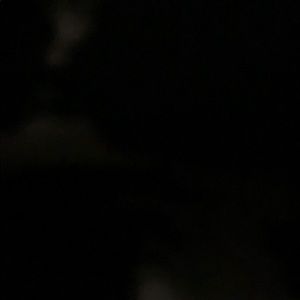 Meet your Posher, Paige